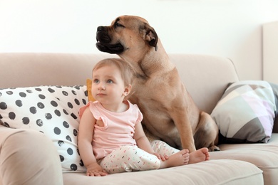 Cute little child with dog on couch at home