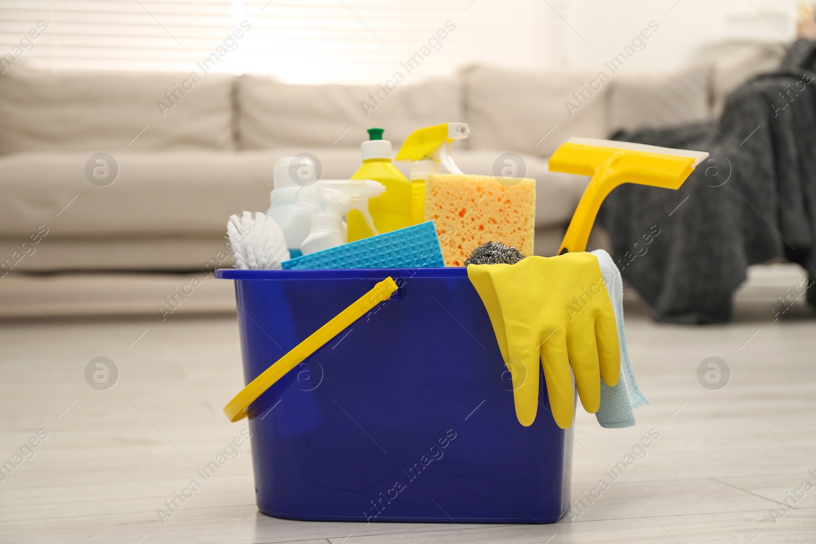 Photo of Different cleaning supplies in bucket on floor at home