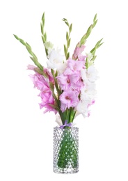 Vase with beautiful gladiolus flowers on white background