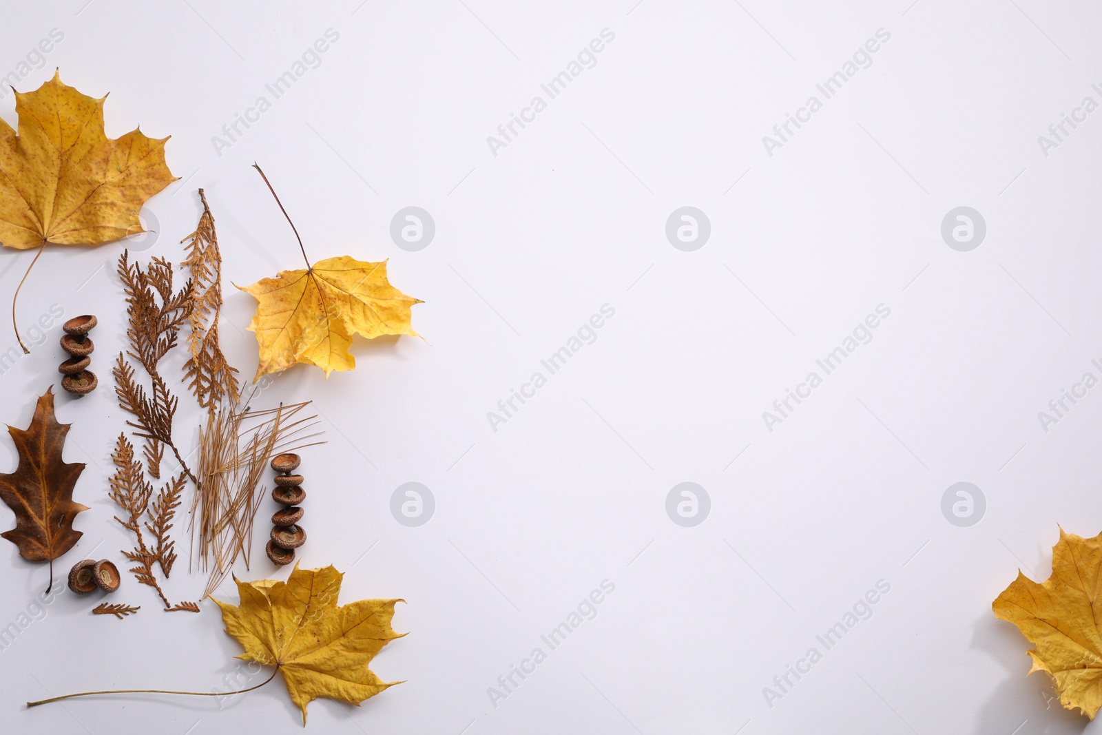 Photo of Flat lay composition with dry autumn leaves on white background, space for text