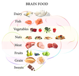 Set with different brain food on white background