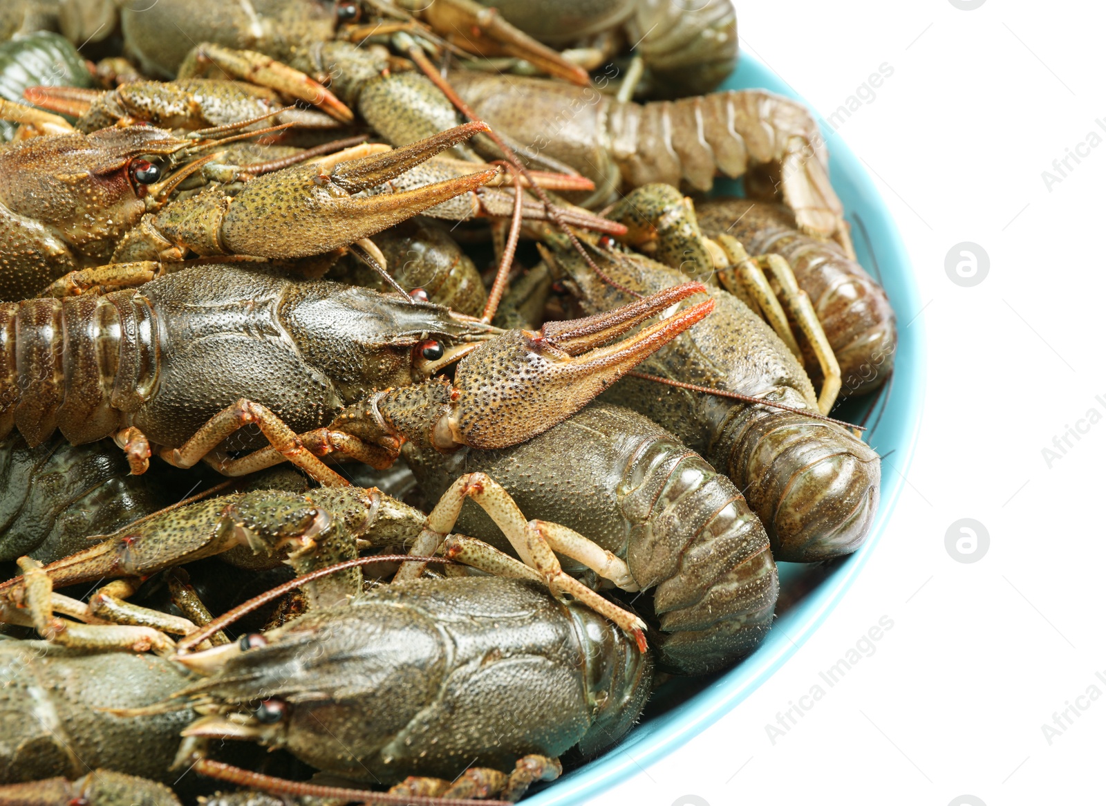 Photo of Bowl with fresh raw crayfishes isolated on white, closeup. Healthy seafood