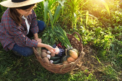 Photo of Woman harvesting different fresh ripe vegetables on farm, above view