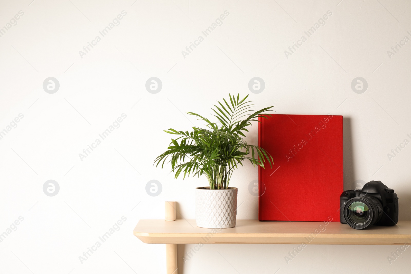 Photo of Book, potted plant and professional camera on wooden shelf indoors, space for text