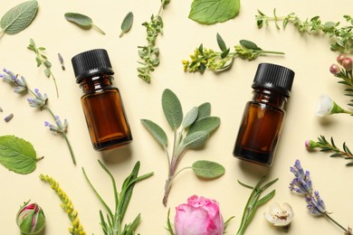 Bottles of essential oils and different herbs on beige background, flat lay