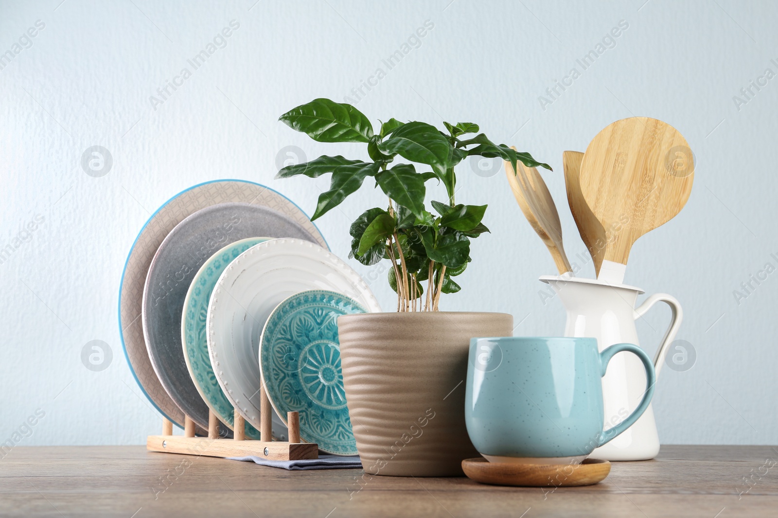 Photo of Potted plant and set of kitchenware on wooden table near light wall. Modern interior design