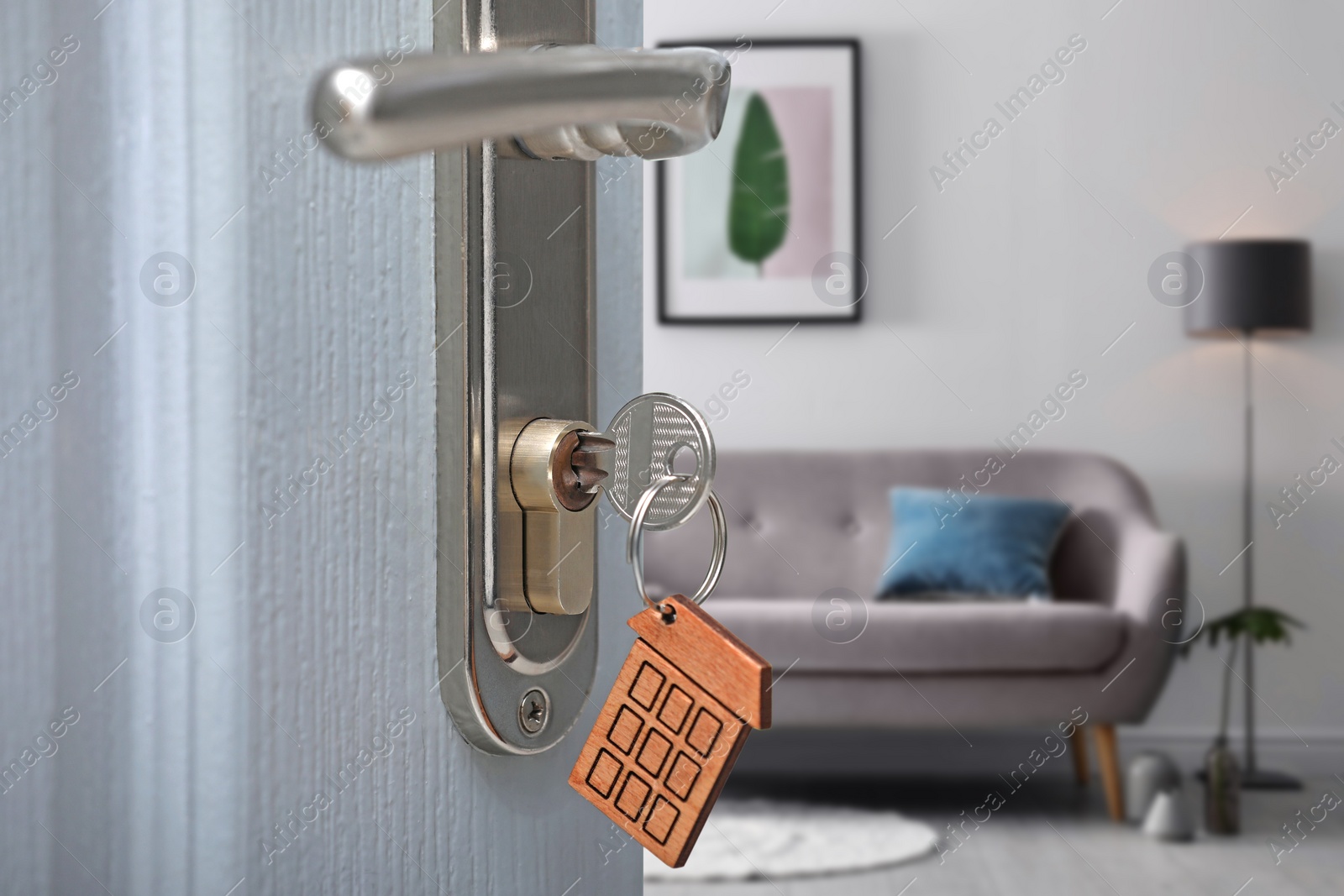 Image of Closeup view of door with key open in living room 