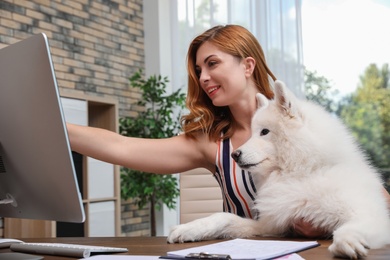 Photo of Beautiful woman with her dog sitting at table in home office