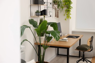 Cozy workplace with computer, modern furniture and houseplants at home