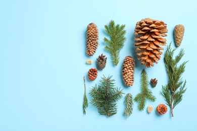 Photo of Flat lay composition with pinecones on light blue background. Space for text
