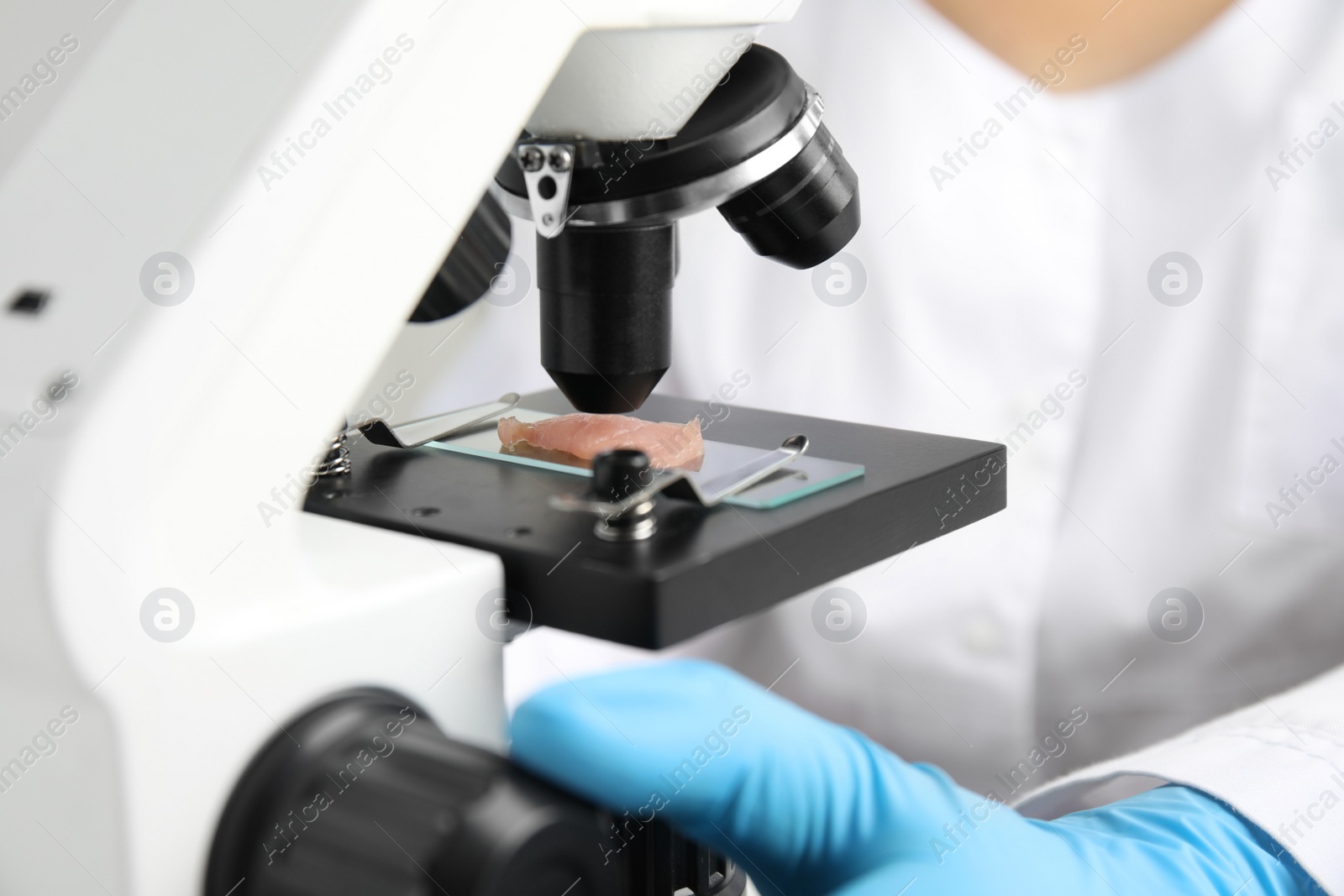 Photo of Scientist inspecting meat sample with microscope in laboratory, closeup. Poison detection