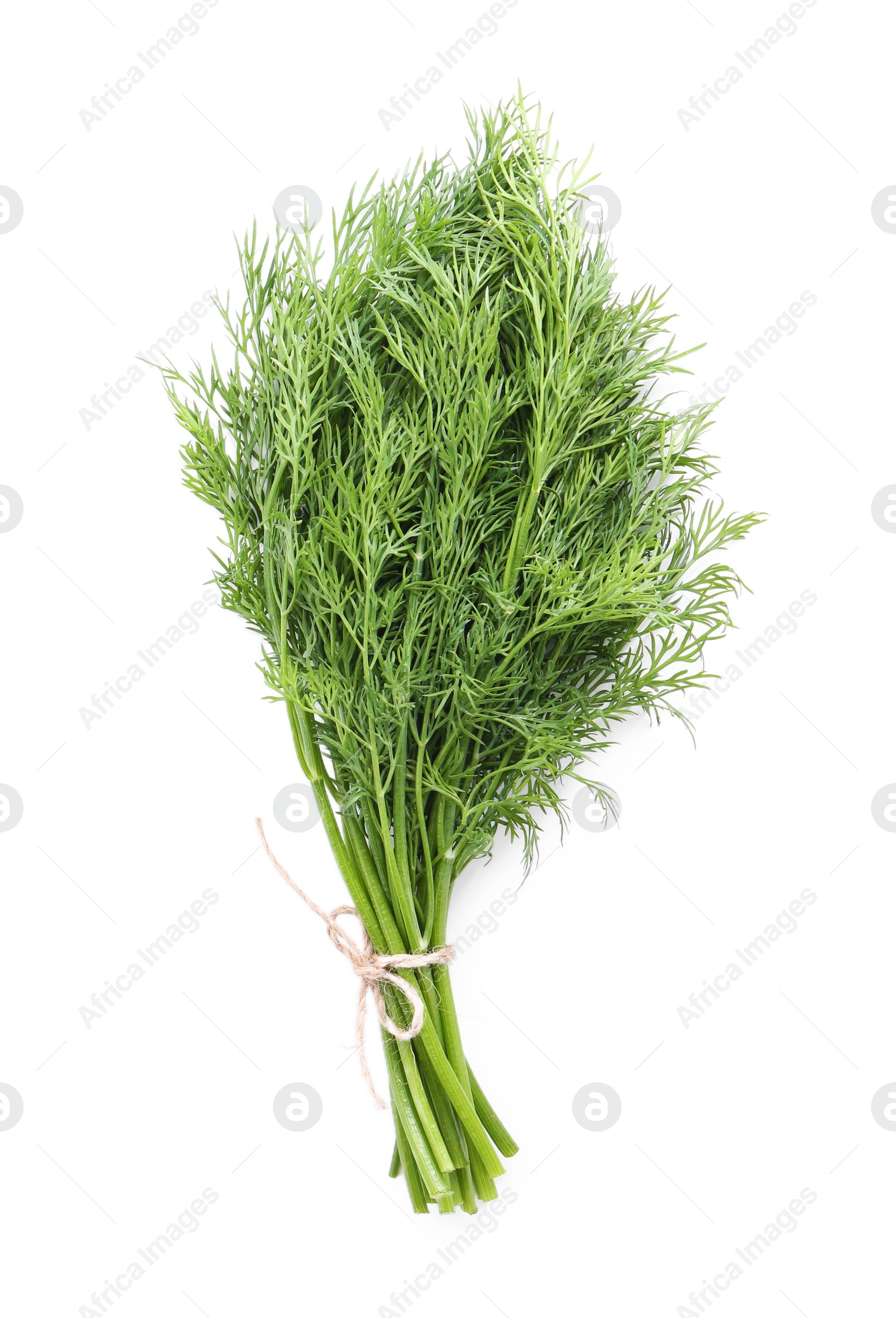 Photo of Bunch of fresh green dill isolated on white, top view