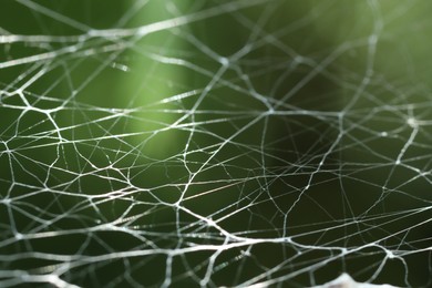 Photo of Cobweb on green blurred background. Macro photography