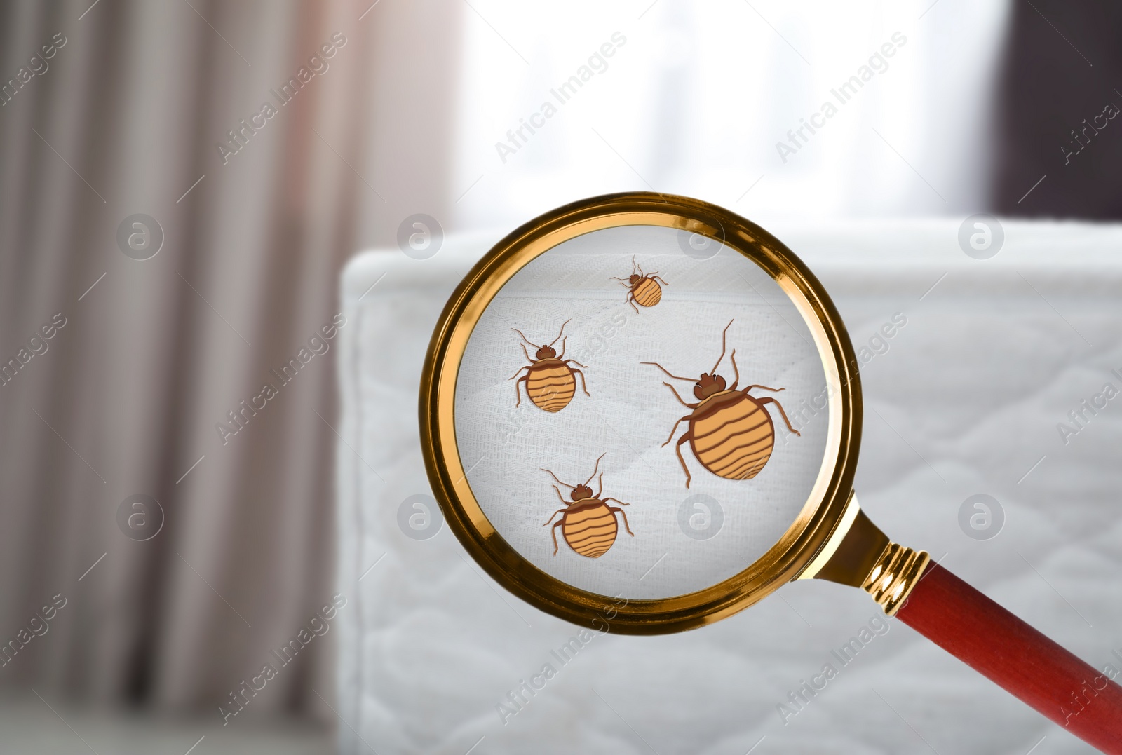 Image of Magnifying glass detecting bed bug on mattress, closeup view
