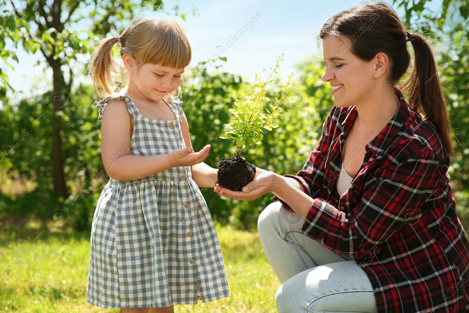 Photo of Mother and her daughter planting tree together in garden