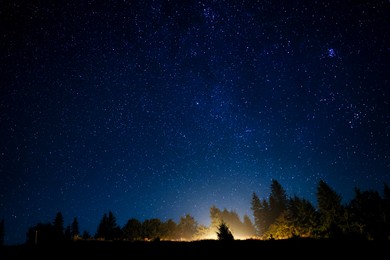 Image of Countless twinkling stars in night sky over forest