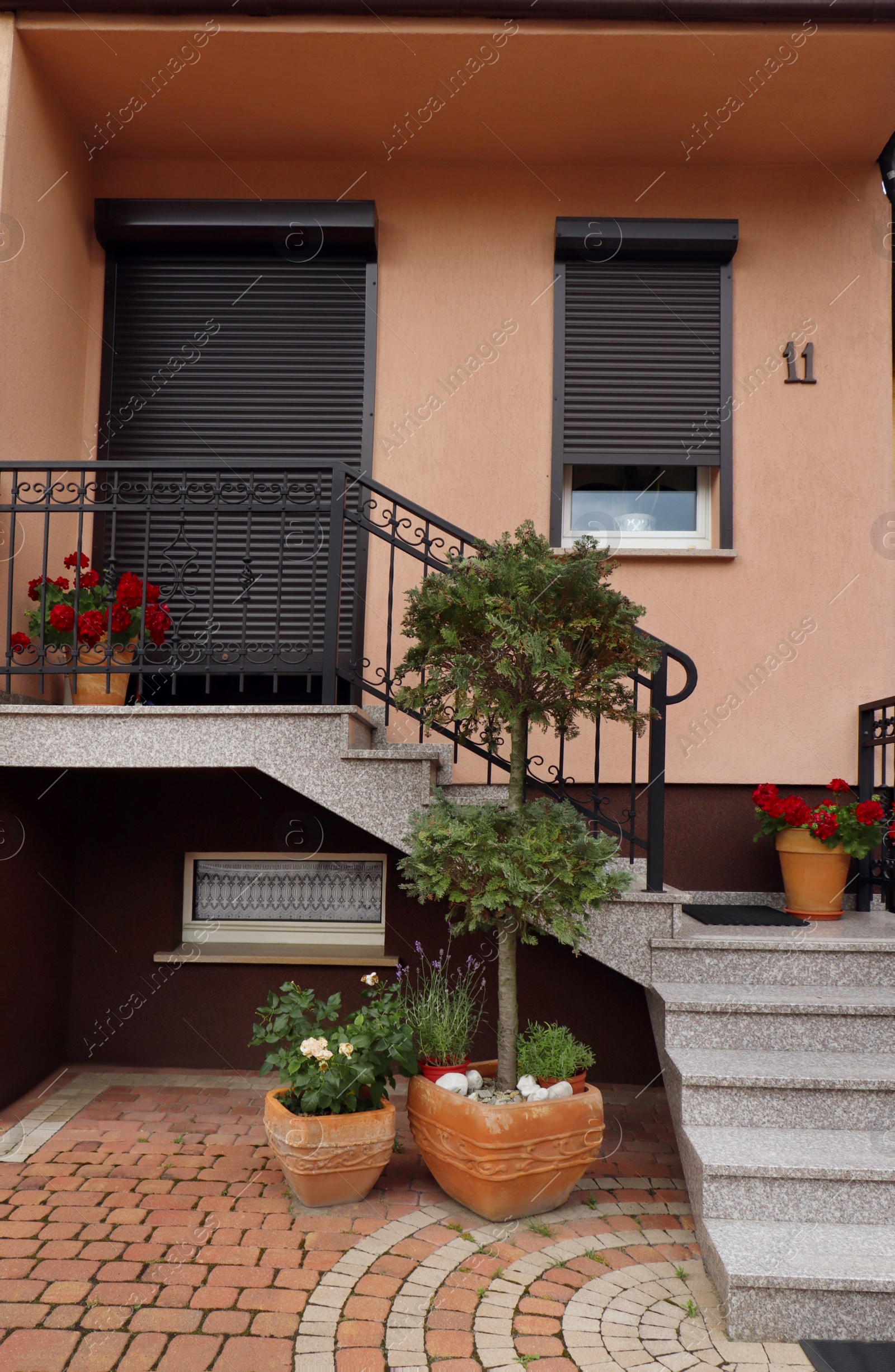 Photo of Beautiful potted green plants near house entrance