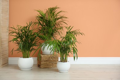 Photo of Beautiful exotic house plants near color wall indoors