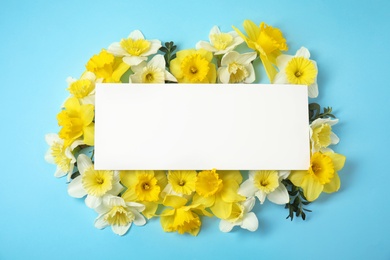 Flat lay composition with daffodils and card on color background, space for text. Fresh spring flowers