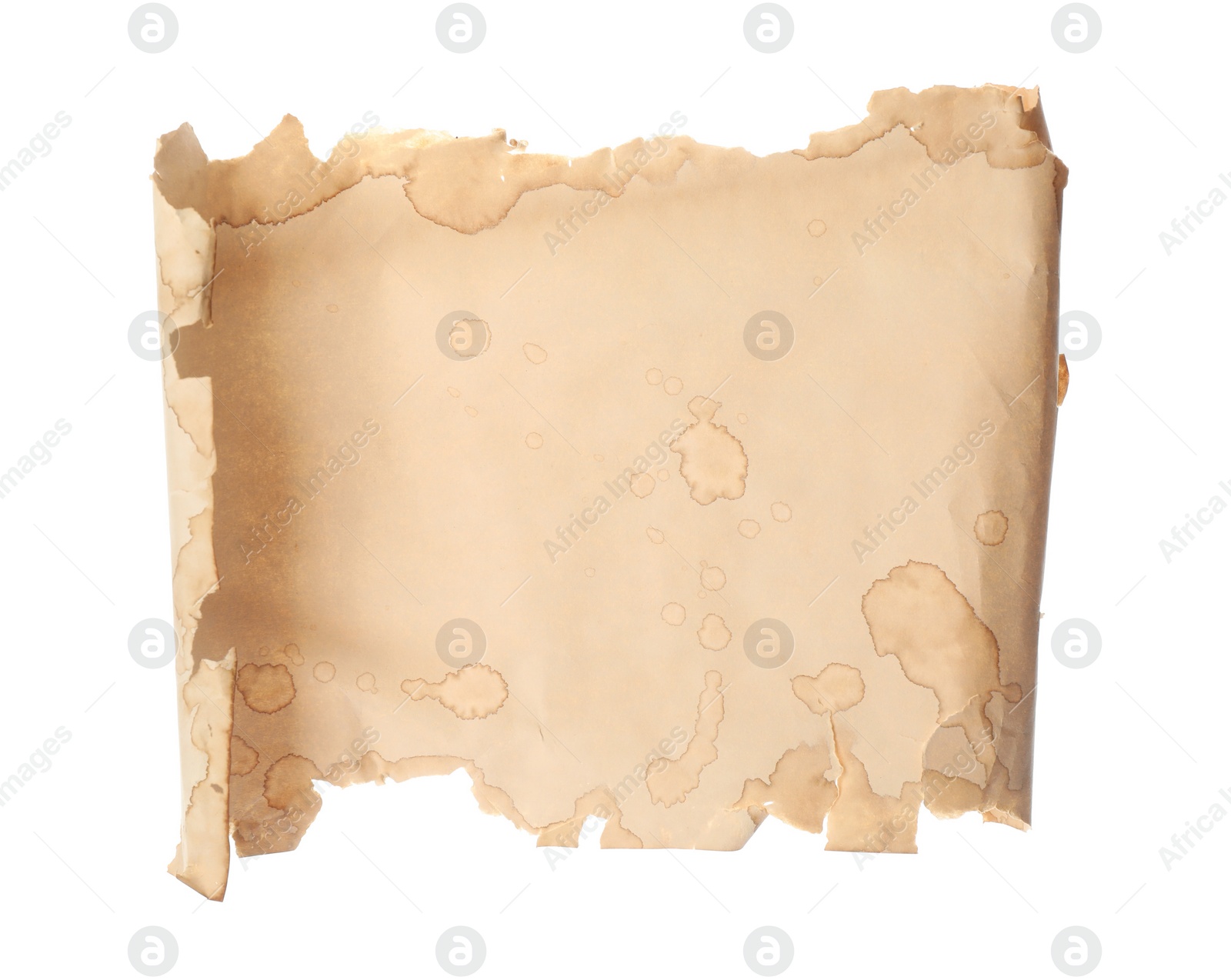 Photo of Sheet of old parchment paper isolated on white. Space for design