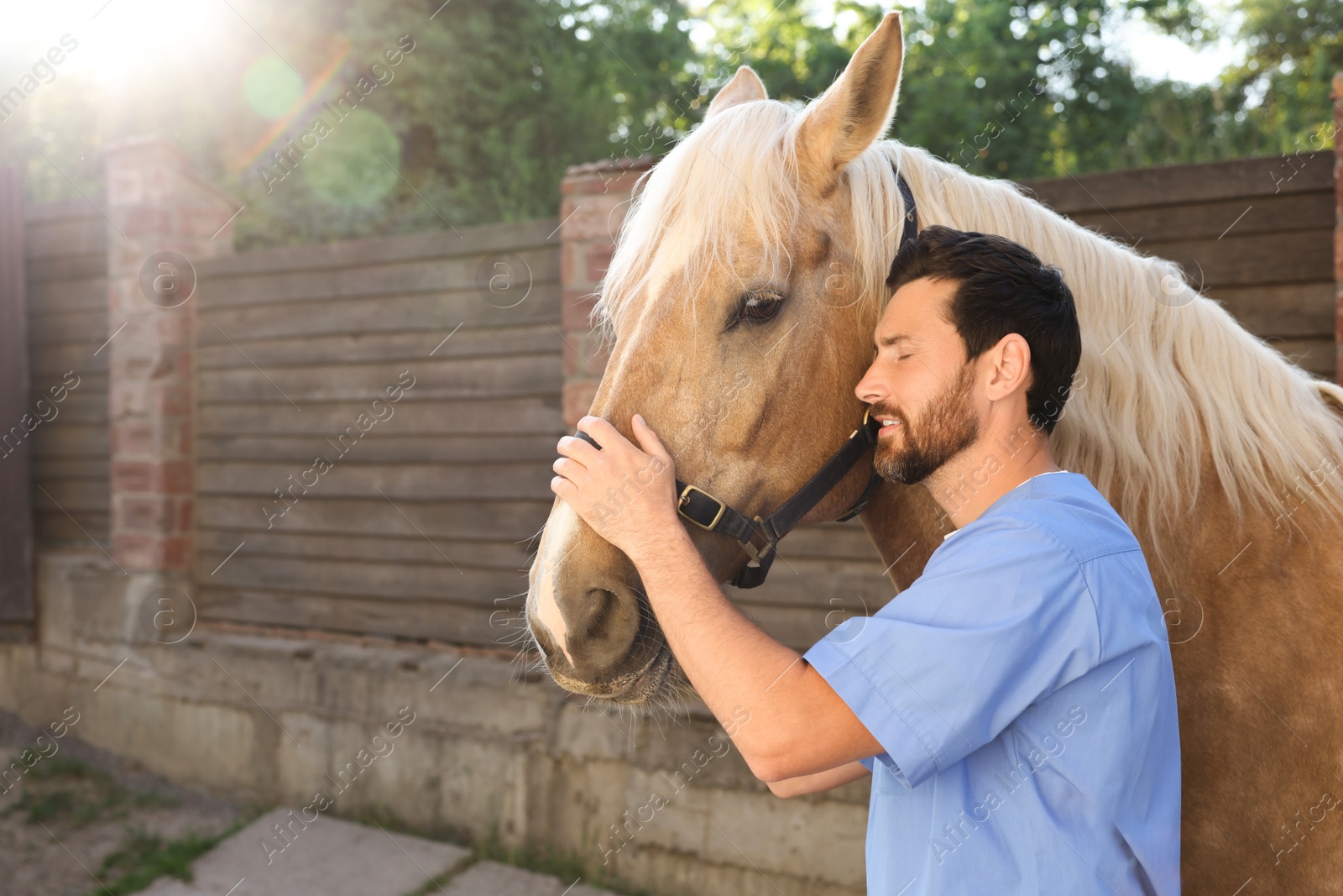 Photo of Veterinarian with adorable horse outdoors. Pet care