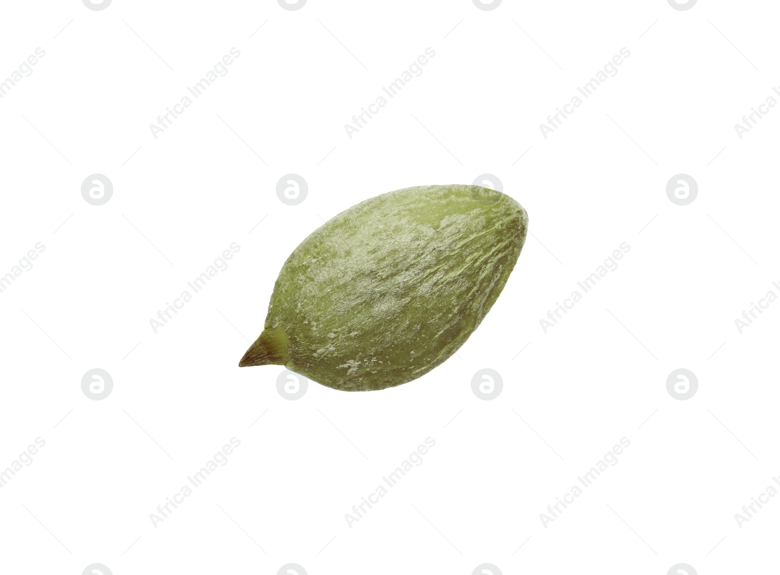 Photo of One peeled pumpkin seed isolated on white