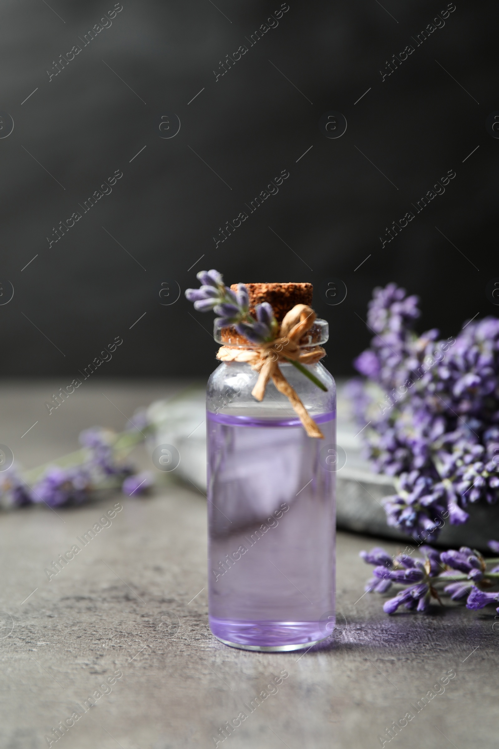 Photo of Bottle of essential oil and lavender flowers on grey stone table