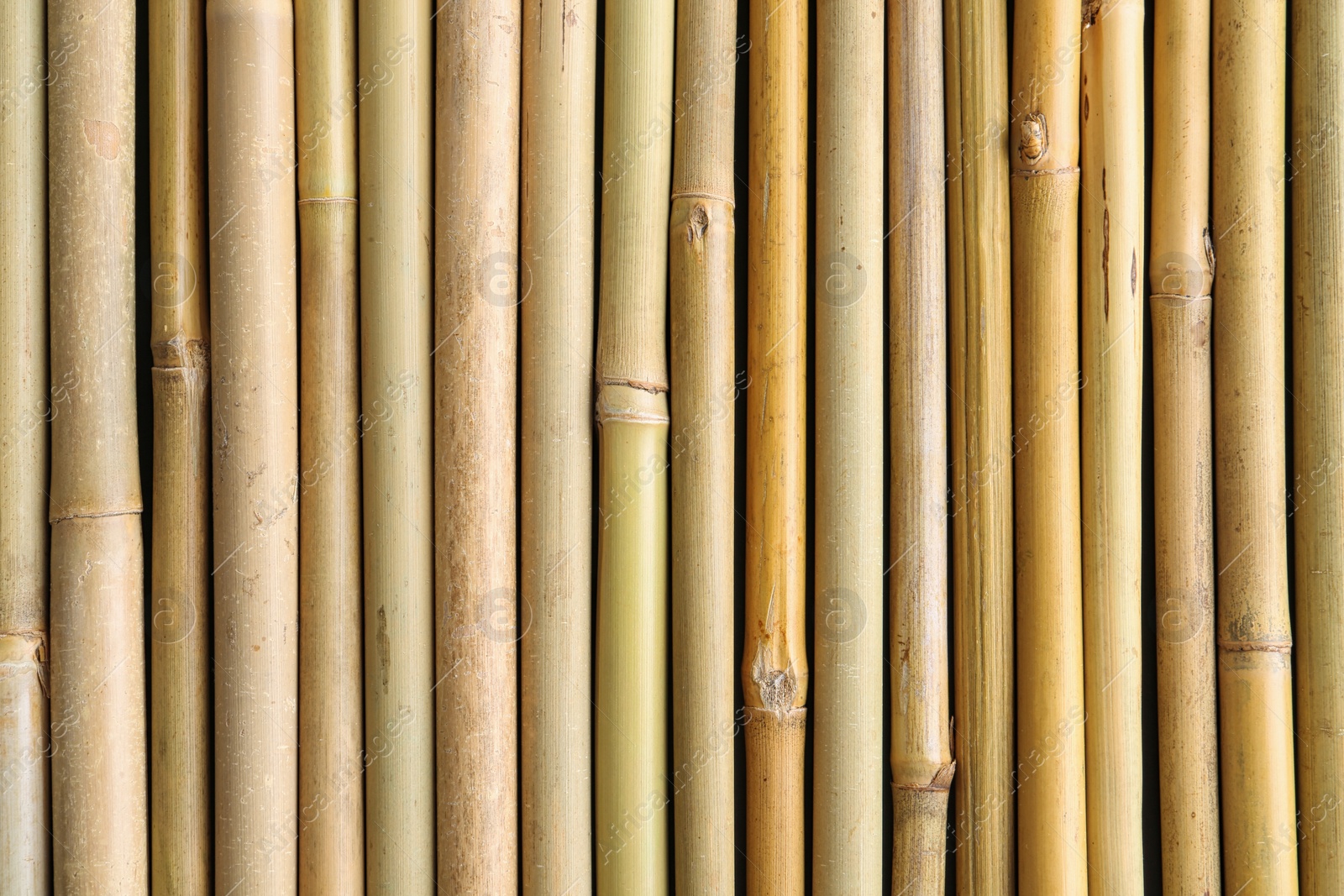 Photo of Dry bamboo sticks as background, top view