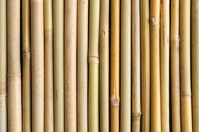 Dry bamboo sticks as background, top view