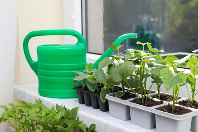Photo of Seedlings growing in plastic containers with soil and watering can on windowsill indoors