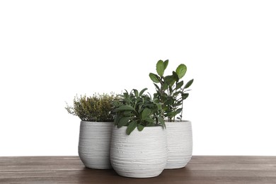 Photo of Pots with thyme, bay and sage on wooden table against white background