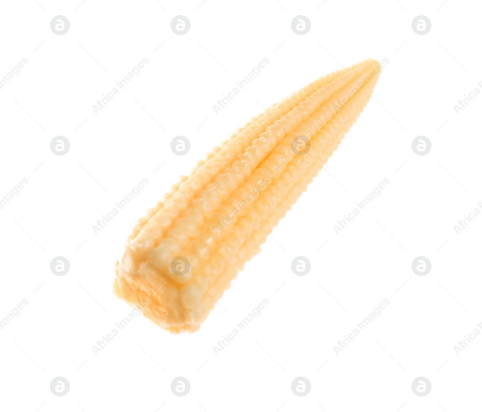 Photo of Fresh baby corn cob isolated on white