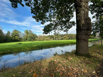 Photo of Beautiful water channel, green grass and trees in park