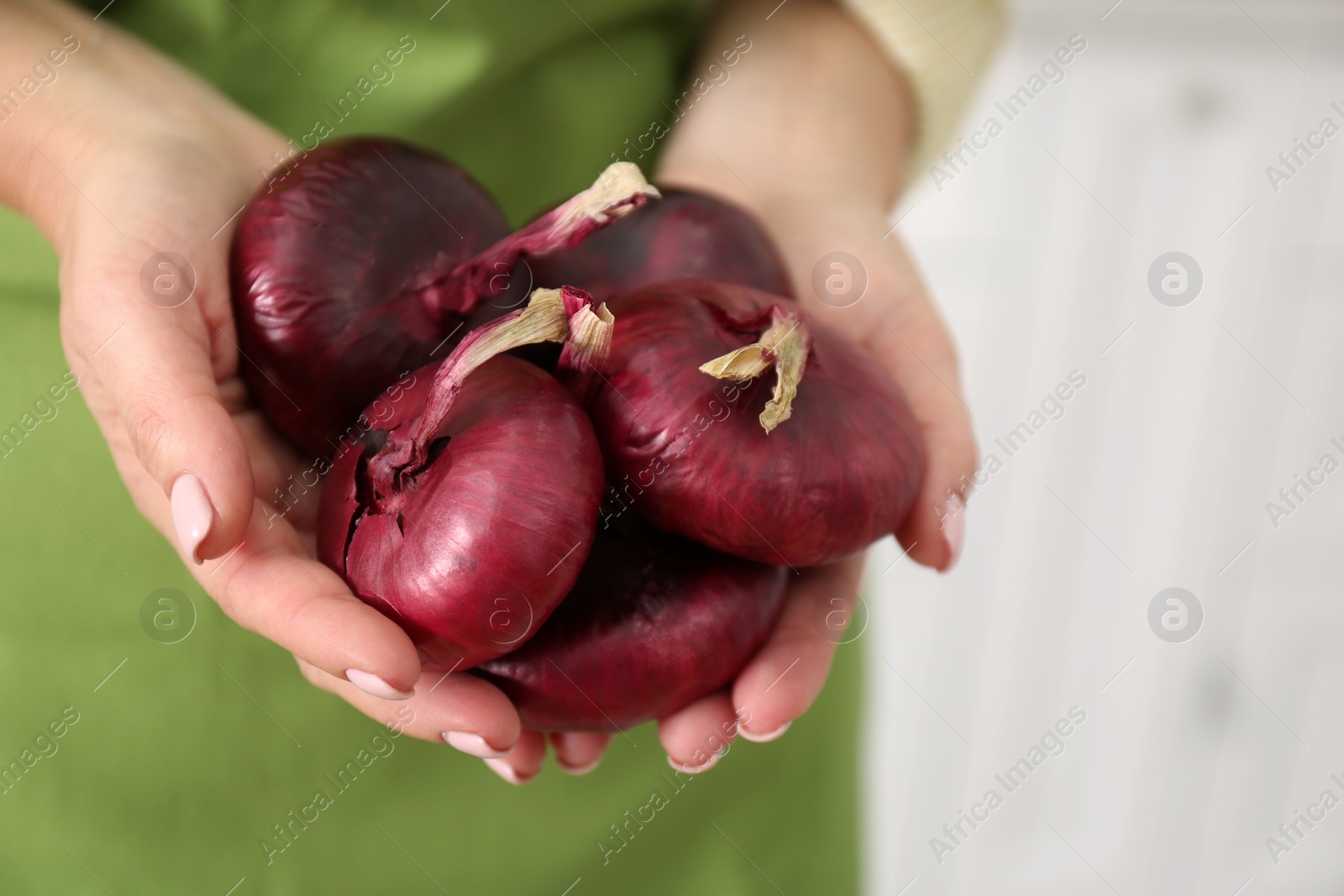 Photo of Woman holding red onions on blurred background, closeup