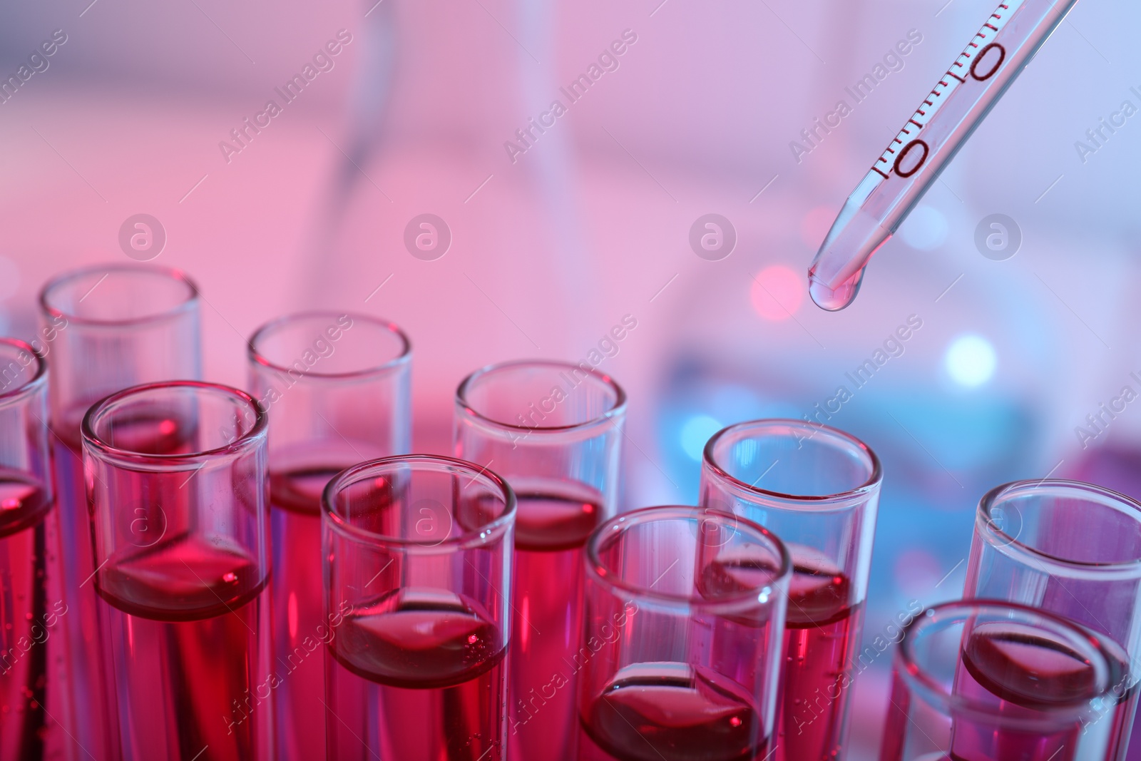 Photo of Dripping reagent into test tube with red liquid, closeup. Laboratory analysis