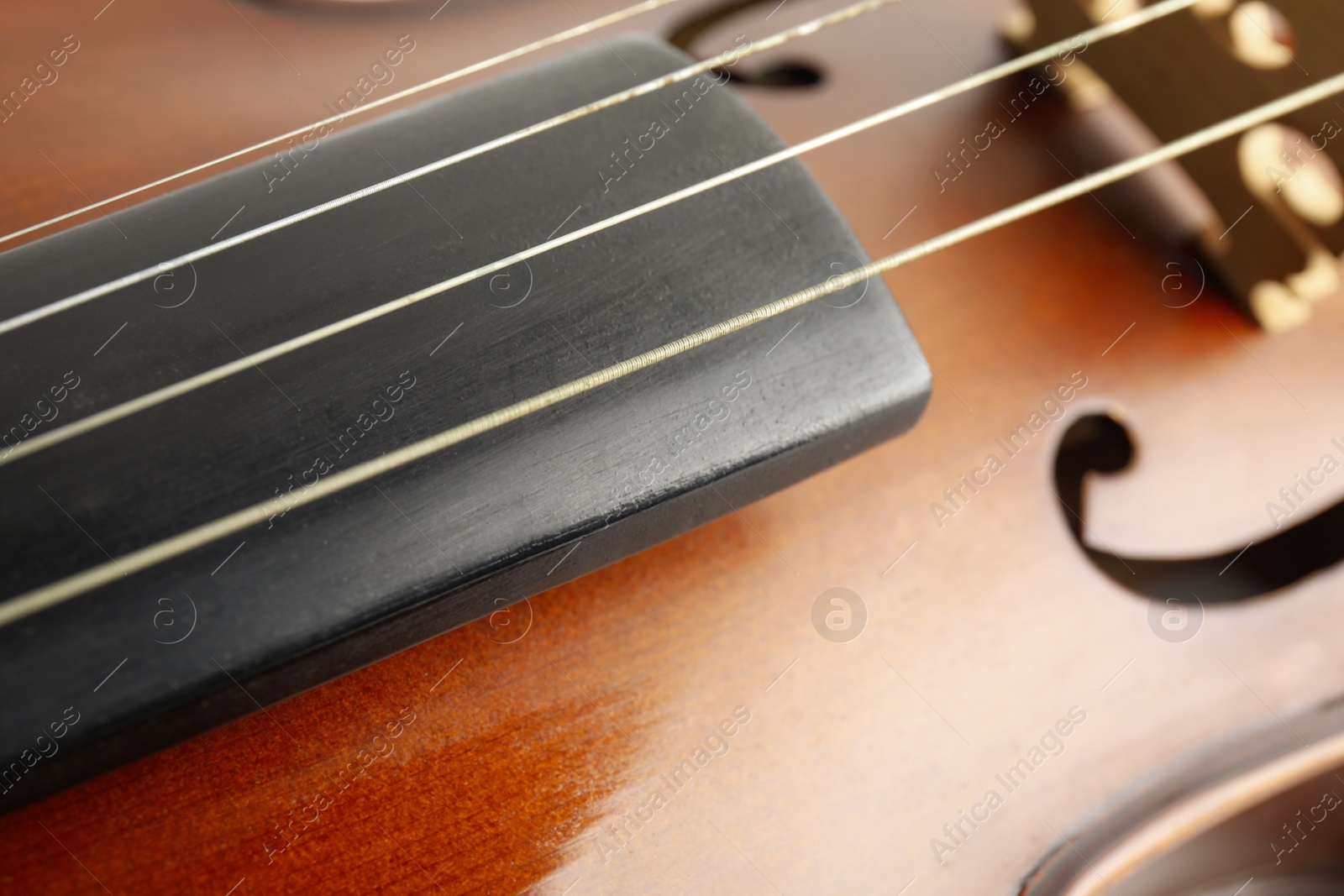 Photo of Beautiful classic violin, closeup view. Musical instrument