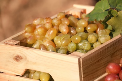 Fresh ripe juicy grapes in wooden crate against blurred background