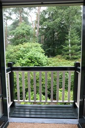 Photo of Beautiful forest with many different green plants, view from balcony