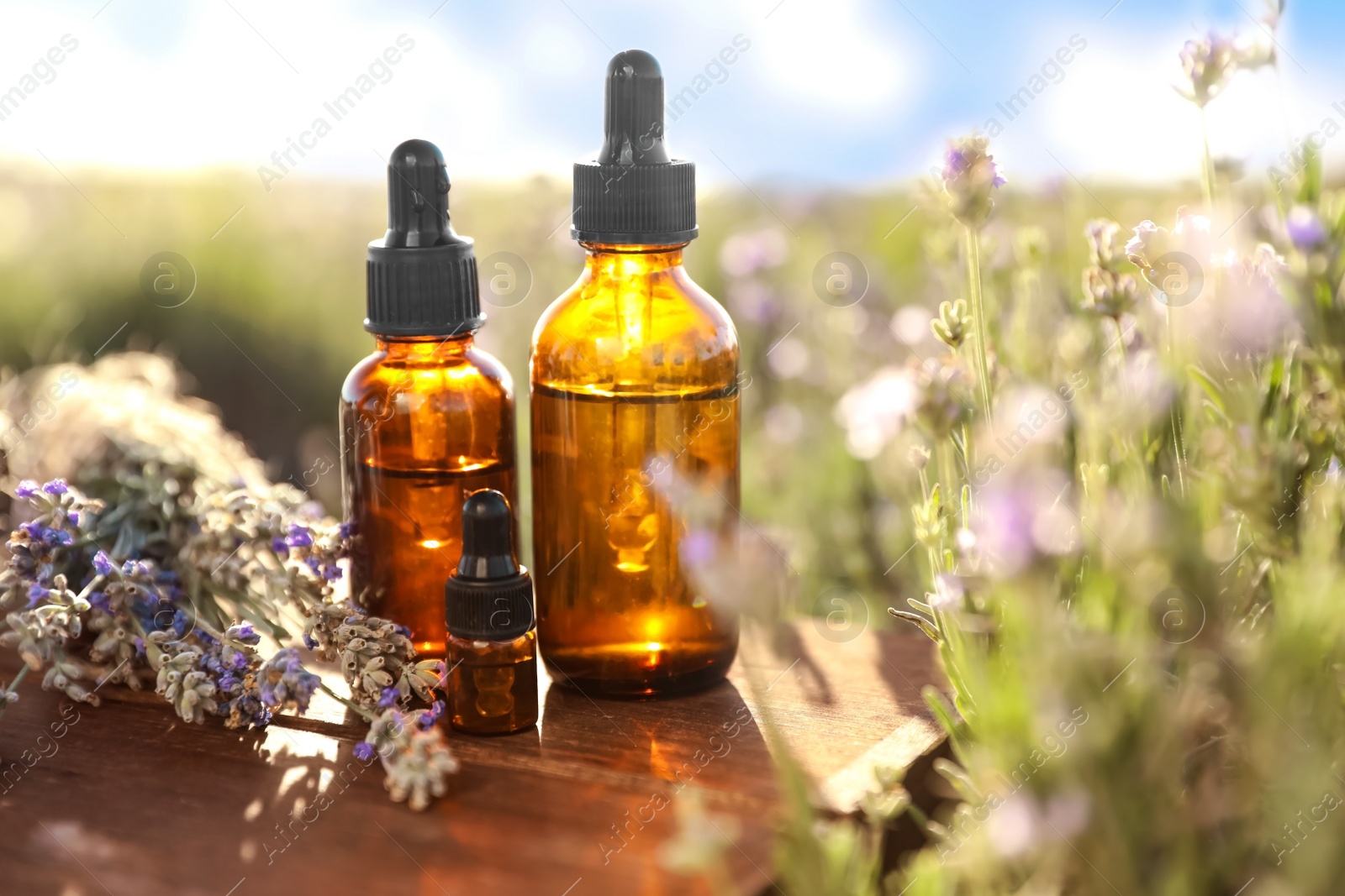 Photo of Bottles of lavender essential oil on wooden table in field. Space for text