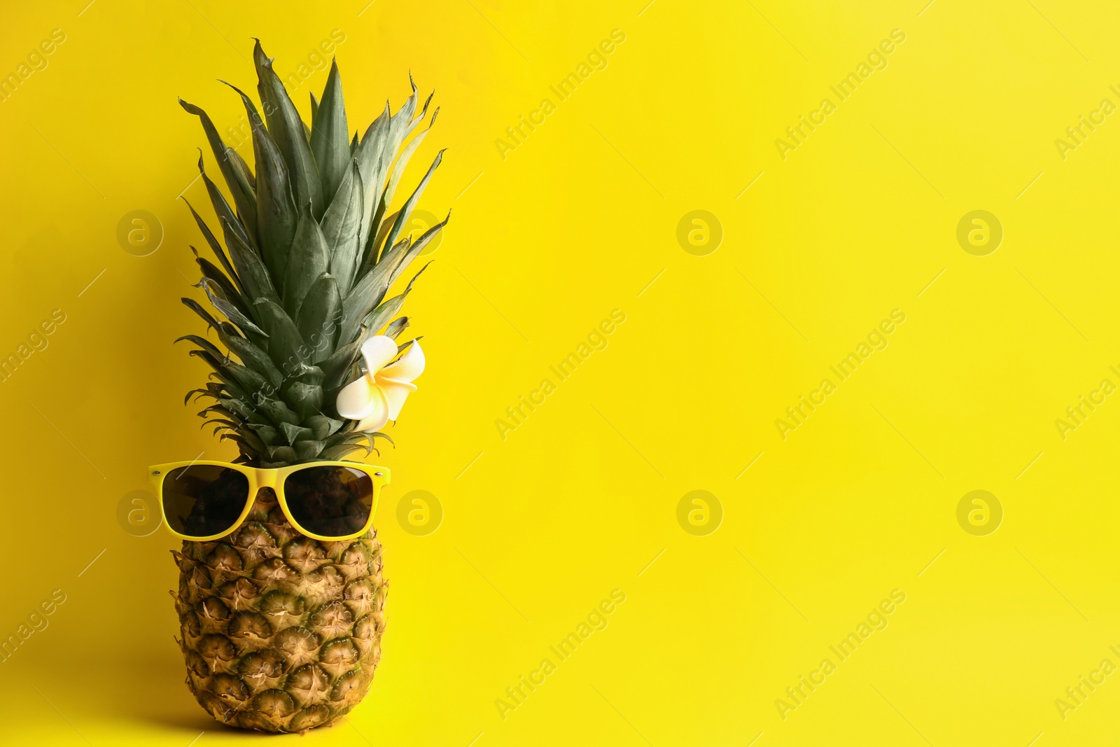 Photo of Funny pineapple with sunglasses and plumeria flower on yellow background, space for text. Creative concept