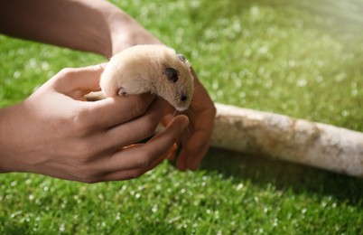 Photo of Woman with cute little hamster outdoors, closeup. Space for text