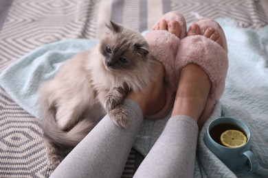 Woman in stylish soft slippers resting with cup of tea cute cat at home, closeup