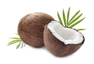Photo of Fresh ripe coconuts with palm leaves isolated on white