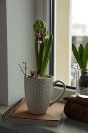 Beautiful bulbous plants on windowsill indoors. Spring time
