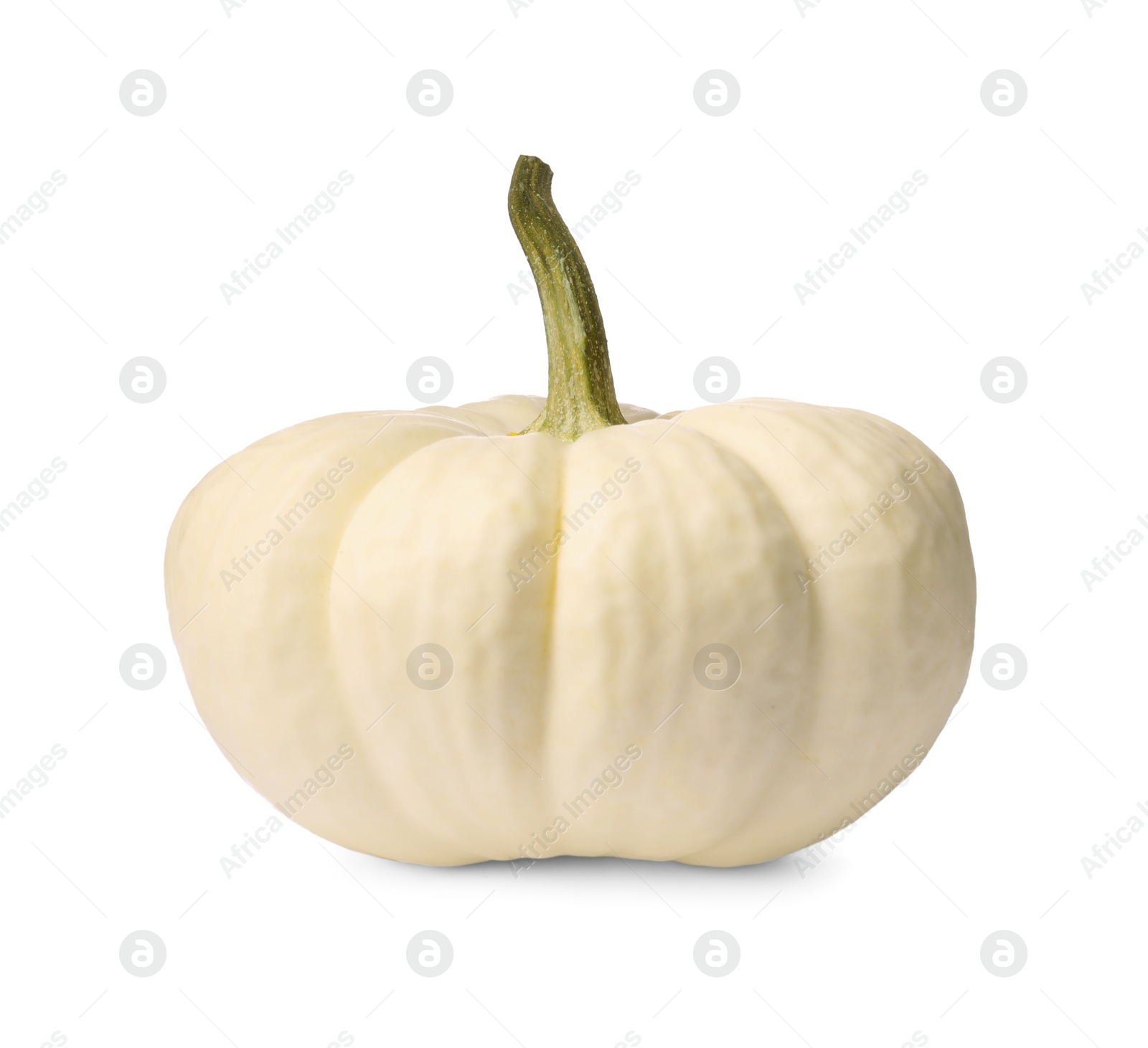 Photo of One fresh ripe pumpkin isolated on white