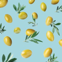 Image of Fresh olives and leaves falling on pale light blue background