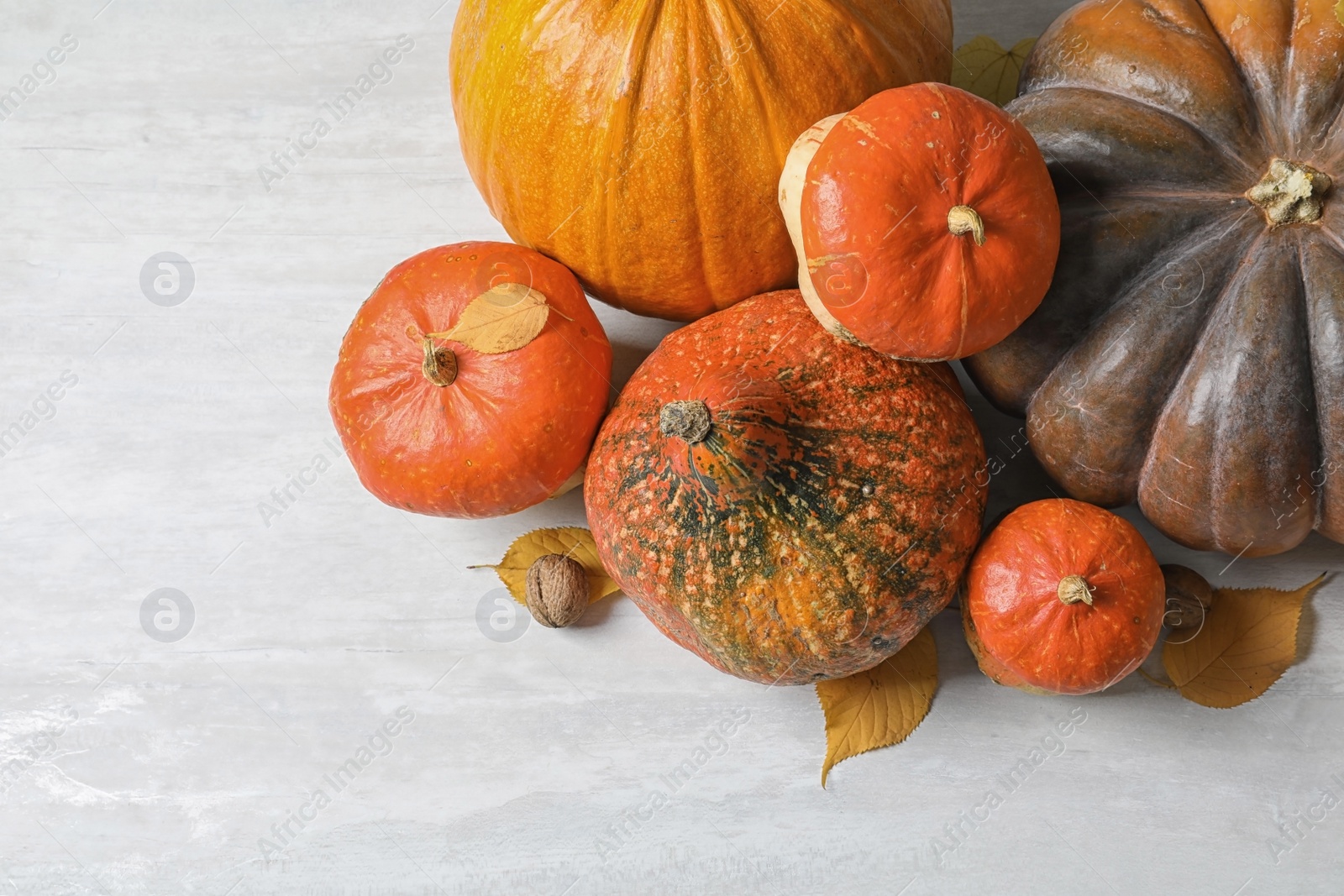 Photo of Different pumpkins on light background, flat lay composition with space for text. Autumn holidays