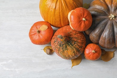 Photo of Different pumpkins on light background, flat lay composition with space for text. Autumn holidays