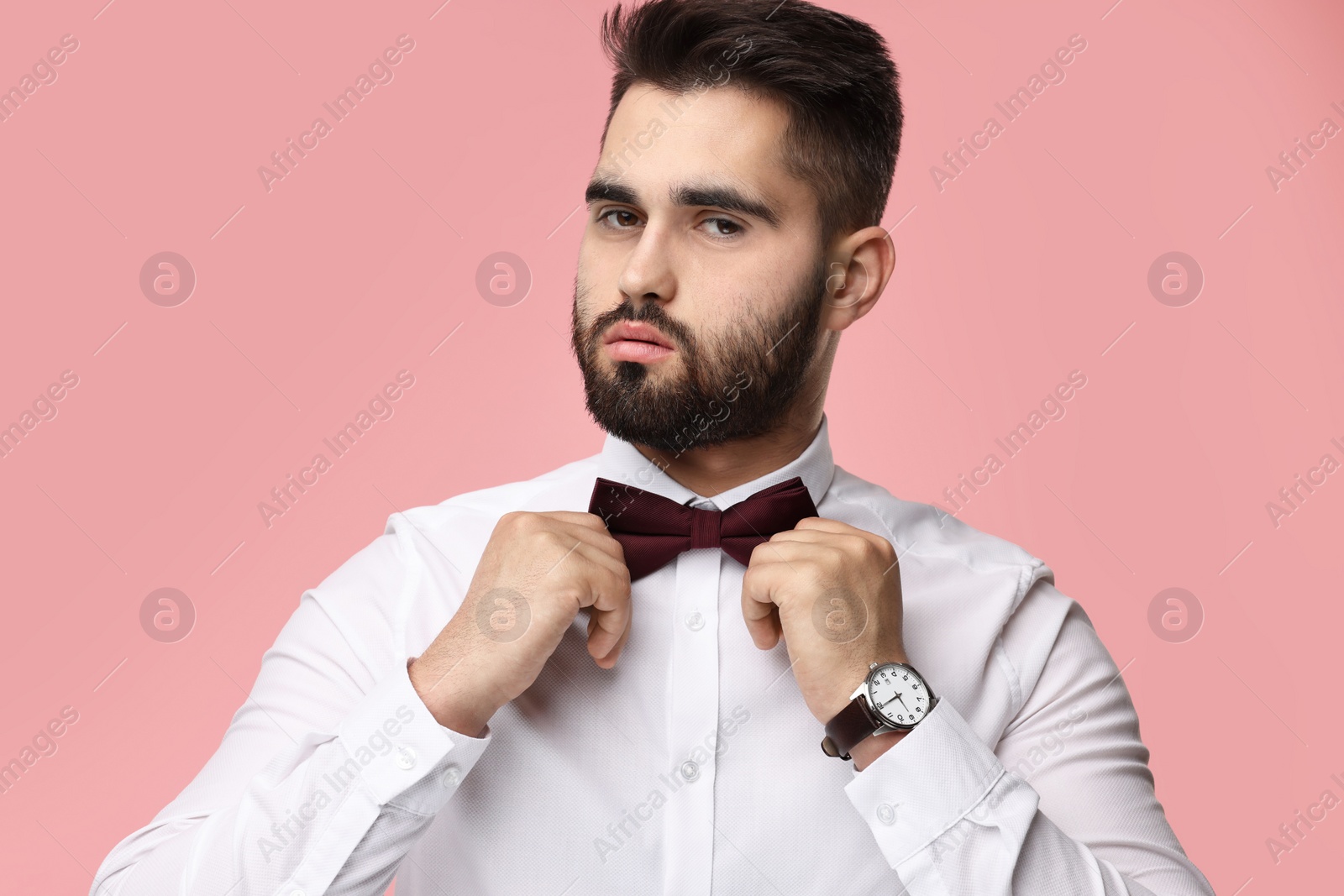 Photo of Portrait of handsome man adjusting bow tie on pink background