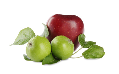 Photo of Fresh juicy apples with leaves isolated on white